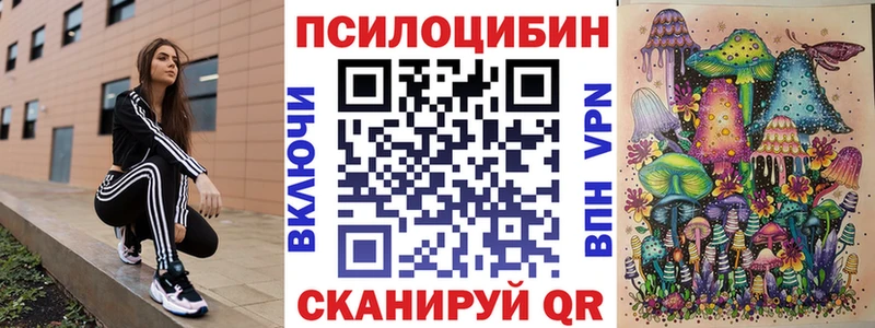Галлюциногенные грибы Psilocybe  Купить закладки  Волгореченск 